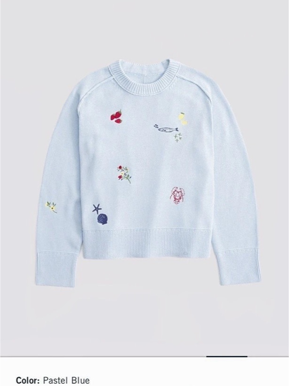 Abercrombie & Fitch Madeline Coastal Crew Sweater Embroidered Crewneck Sweater
